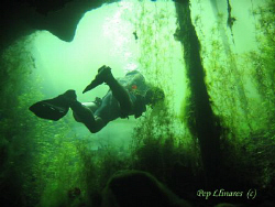 End of Exploration in Cenote Wild Water by Pep Llinares 